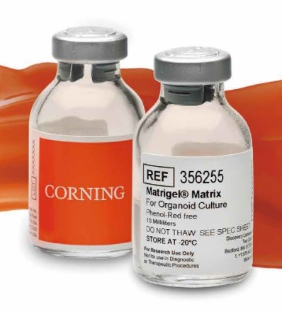 标准Corning Matrigel